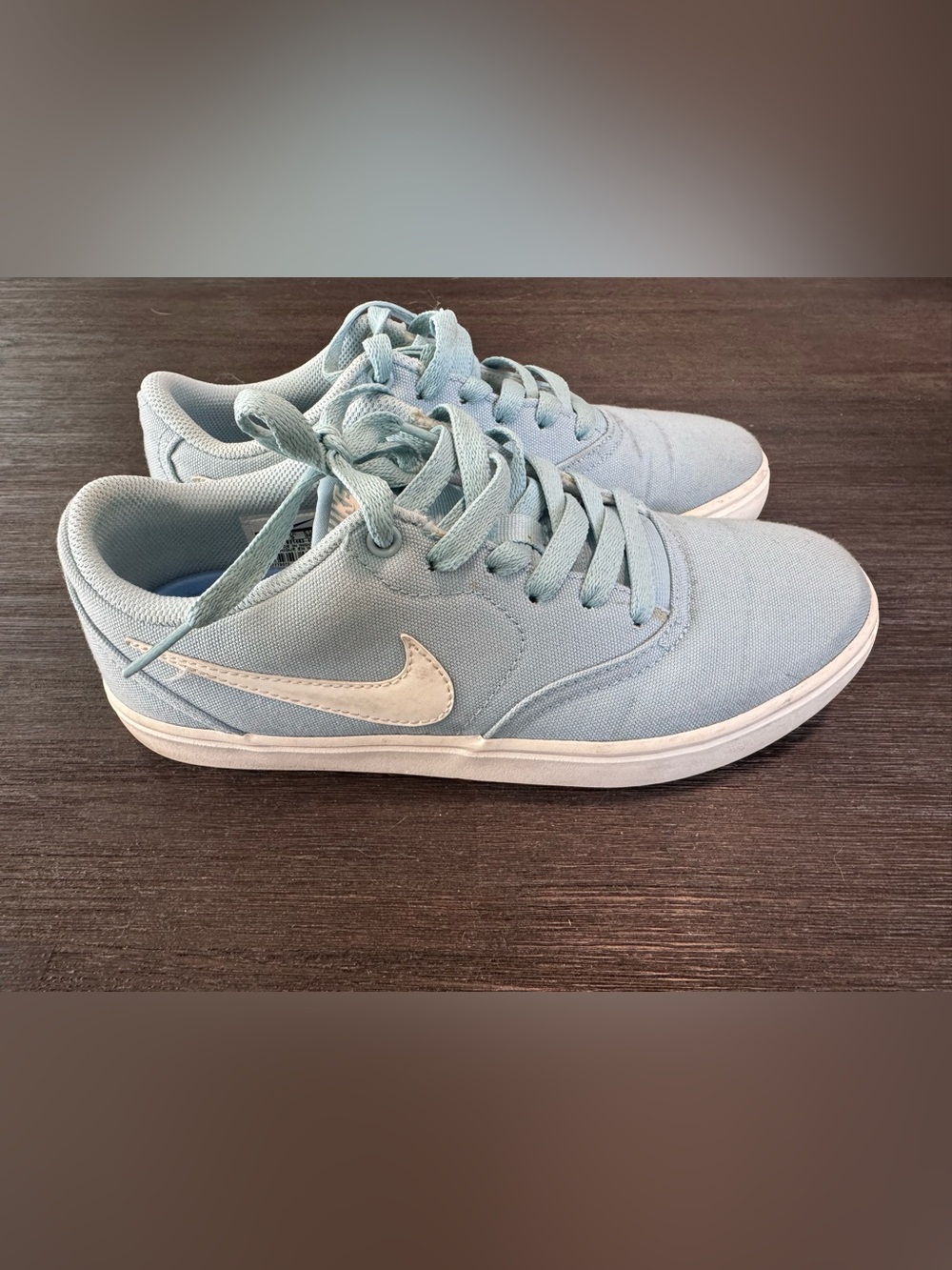 Nike SB Women’s Pale Blue Canvas Low-Top Sneakers